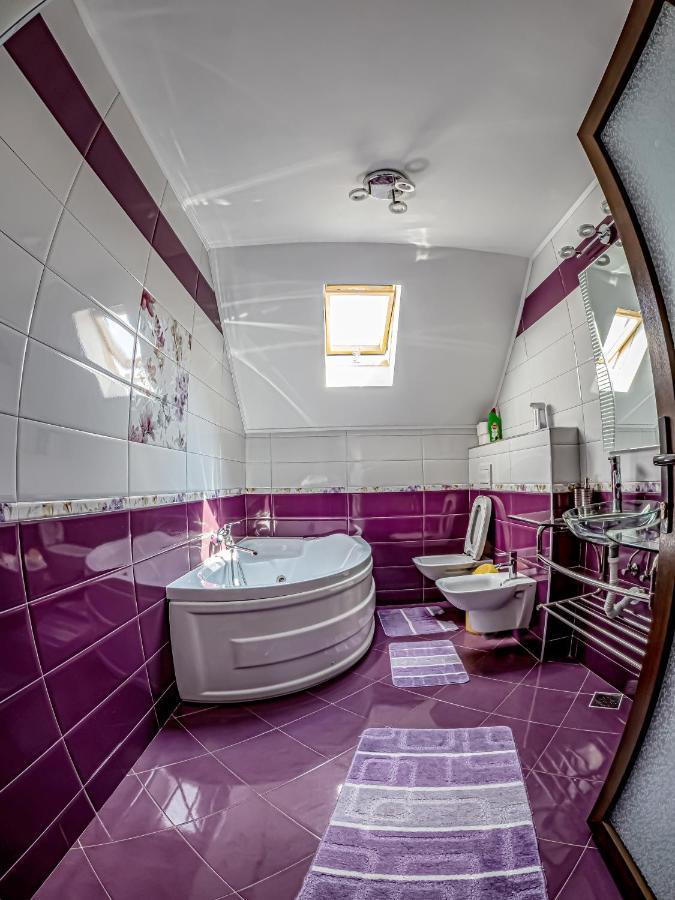 Villa Casa Iulia à Pojorîta Extérieur photo