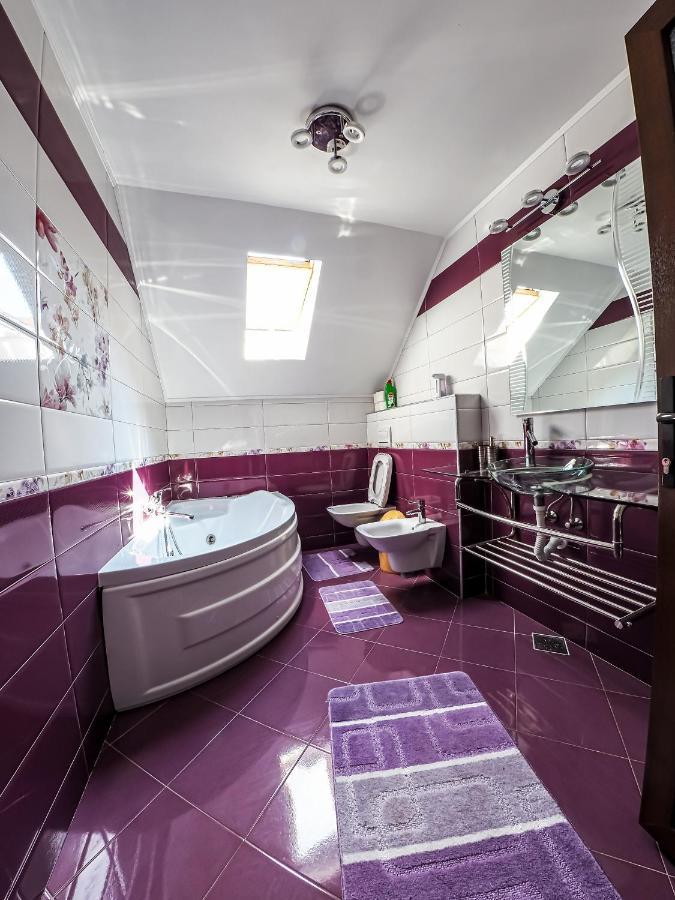 Villa Casa Iulia à Pojorîta Extérieur photo